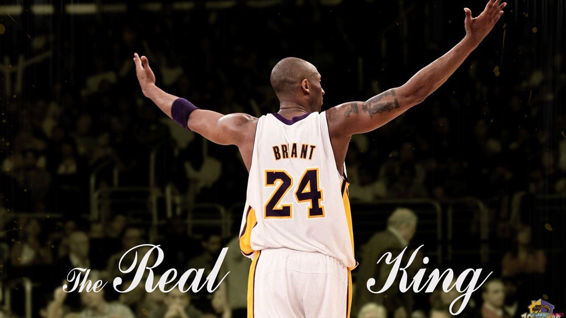 九游官网-场馆设施智能化改造全面展开，场馆智能化管理系统方案  第1张