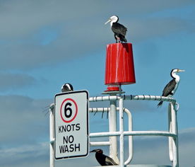 九游体育官网首页-澳大利亚队的表现与未来展望:国际乒联混合团体世界杯分析,国际乒联澳大利亚公开赛 第4张 九游体育官网首页-澳大利亚队的表现与未来展望:国际乒联混合团体世界杯分析,国际乒联澳大利亚公开赛 第4张